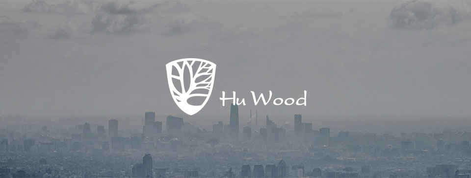 HU WOOD2022 new wooden polarized sunglasses night vision goggles driving sunglasses fashion matching items GR8057