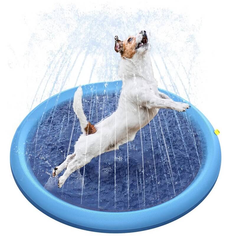 Water Spray Sprinkler for dog Water Spray Sprinkler for dog