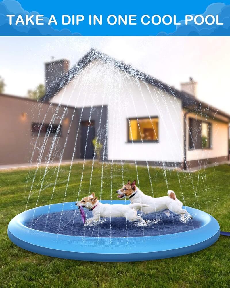 Water Spray Sprinkler for dog