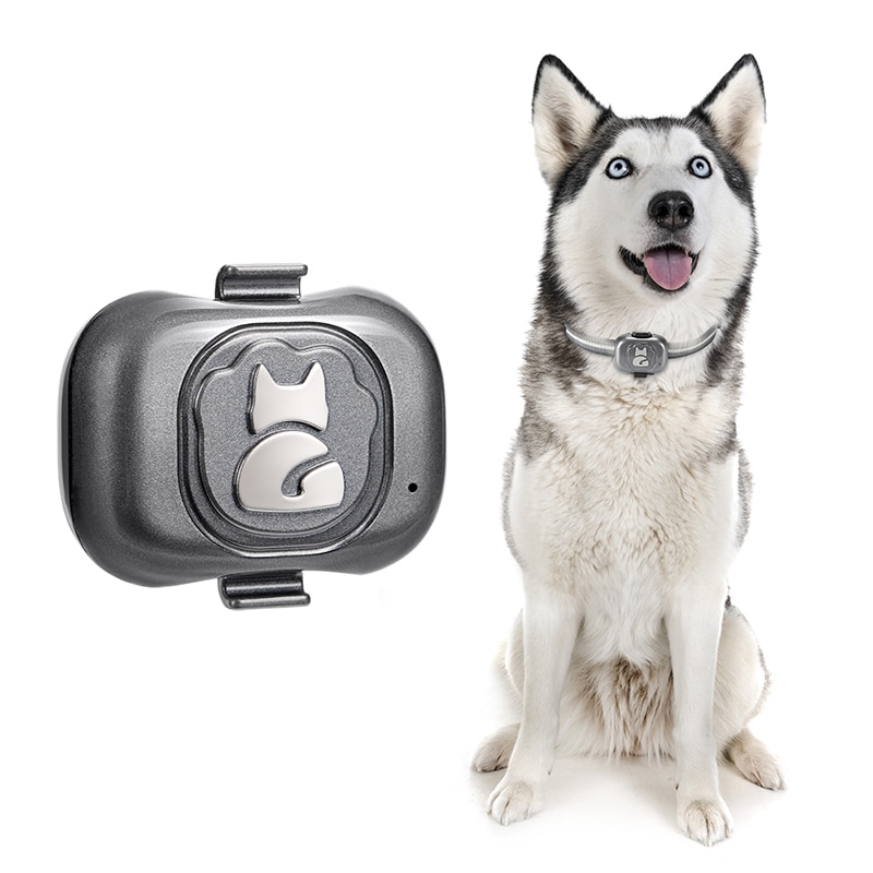 Waterproof Mini Smart Pet locator